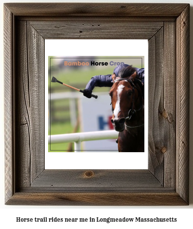 horse trail rides near me in Longmeadow, Massachusetts